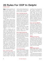 delphi - 20 rules for oop in delphi