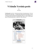 Vi khuẩn yersinia pestis
