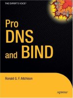 pro dns and bind
