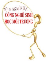 NỘI DUNG MÔN HỌC CÔNG NGHỆ SINH HỌC MÔI TRƯỜNG