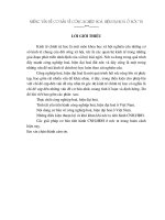 những vấn đề cơ bản về công nghiệp hoá, hiện đại hoá ở nước ta