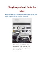 Nhà phong cách với 2 màu đen trắng ppt