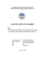 phát triển thị trường xuất khẩu hàng hóa việt nam trong bối cảnh hội nhập kinh tế quốc tế