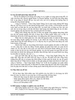 phân tích tài chính và tìm giải pháp cải thiện tình hình tài chính của công ty netnam – viện công nghệ thông tin