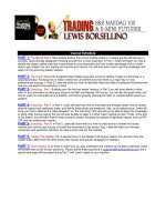 borsellino lewis 2001 - trading es and nq futures course