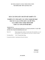 Nghiên cứu giải pháp đắp đê bằng vật liệu địa phương và đắp đê trên nền đất yếu từ quảng ninh đến quảng nam   nghiên cứu tổng kết các công nghệ bọc phủ bảo vệ và gia cường kết cấu bê tông, lựa chọn công nghệ thích hợp cho các