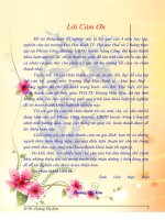 Nâng cao hiệu quả đầu tư phát triển cơ sở hạ tầng giao thông nông thôn sử dụng vốn Ngân sách Nhà nước trên địa bàn huyên Nông Cống, tỉnh Thanh Hóa