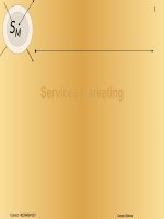 Bài giảng marketing dịch vụ bằng tiếng anh