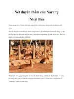 Nét duyên thầm của Nara tại Nhật Bản ppt