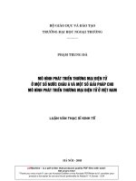 Mô hình phát triển thương mại điện tử ở một số nước Châu Á và một số giải pháp cho mô hình phát triển thương mại điện tử ở Việt Nam
