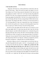 Nghiên cứu xạ khuẩn sinh chất kháng sinh chống nấm gây bệnh thực vật ở Việt Nam