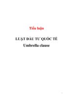 Tiểu luận: LUẬT ĐẦU TƯ QUỐC TẾ ppt