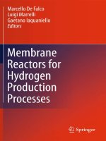 membrane reactors for hydrogen production processes
