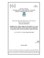 Nghiên cứu công nghệ tuyển hợp lý và sản xuất rutin nhân tạo từ quặng sa khoáng và quặng gốc vùng núi chúa, thái nguyên