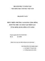 Phát triển trường cao đẳng cộng đồng đáp ứng nhu cầu đào tạo nhân lực vùng Đồng bằng sông Cửu Long