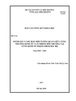 Đánh giá và dự báo mối tương quan giữa tăng trưởng kinh tế và ô nhiễm môi trường tại vùng kinh tế trọng điểm bắc bộ