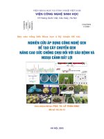 nghiên cứu áp dụng công nghệ gen để tạo cây chuyển gen nâng cao sức chống chịu đối với sâu bệnh và ngoại cảnh bất lợi-