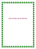 Rau má chữa cảm sốt, tiêu chảy. pptx