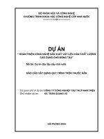 hoàn thiện công nghệ sản xuất vật liệu hàn chất lượng cao dùng cho đóng tàu   xây dựng quy trình trộn thuốc hàn