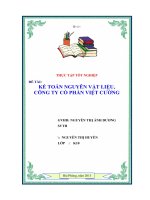 kế toán nguyên vật liệu,  công ty cổ phần việt cường