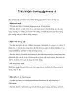 Một số bệnh thường gặp ở tôm cá pptx