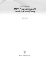 wiley professional xmpp programming with javascript and jquery (2010)