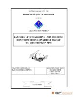 lập chiến lược marketing- mix cho dịch vụ mạng điện thoại di động vinaphone trả sau tại viễn thông cà mau dư kiều diễm