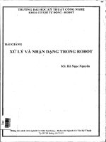 Xử lý và nhận dạng trong robot