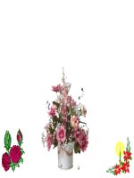 Giáo án bồi dưỡng Đột biến số lượng nhiễm sắc thể (tiết 1)