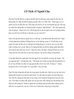 Cổ Tích về Người Cha pot