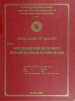 Chiến lược kinh doanh của các công ty xuyên quốc gia tại thị trường Việt Nam