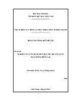 nghiên cứu ứng dụng bất dục đực để sản xuất hạt giống bông lai