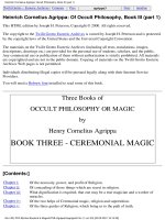 agrippa - of occult philosophy book 3