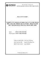 nghiên cứu khảo sát hiệu quả của chế phẩm bio - b111 hv trong xử lý nước thải ngành dệt nhuộm bằng phượng pháp hiếu khí.