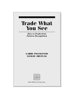 trade what you see