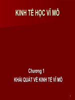 Bài giảng kinh tế vĩ mô - Chương 1 Khái quát về kinh tế vĩ mô