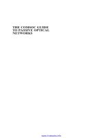 the comsoc guide to passive optical networks