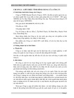 báo cáo thực tập tốt nghiệp tại công ty tnhh header plan