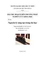 tiểu luận nguyên lý sáng tạo trong tin học