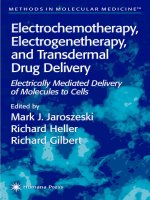 electrochemotherapy, electrogenetherapy and transdermal drug delivery