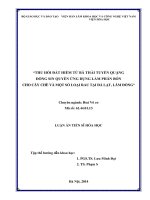 Thu hồi đất hiếm từ bã thải tuyển quặng đồng Sin Quyền ứng dụng làm phân bón cho cây chè và một số loại rau tại Đà lạt, Lâm Đồng