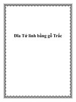 Đĩa Tứ linh bằng gỗ Trắc ppt