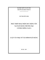phát triển hoạt động huy động vốn tại ngân hàng thương mại cổ phần đông nam á