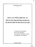 Điều tra thực trạng đời sống của đồng bào các dân tộc ở một số vùng căn cứ cách mạng   báo cáo giai đoạn 1