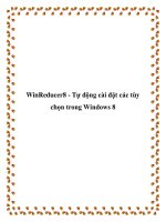 WinReducer8 - Tự động cài đặt các tùy chọn trong Windows 8 pot