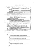 a practical guide to cellular and molecular immunology