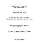 Luận văn:Nghiên cứu quá trình tổng hợp polyaluminium silicate chloride (PASiC) pptx