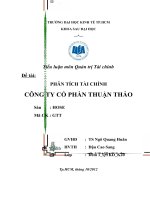 PHÂN TÍCH TÀI CHÍNH CÔNG TY CỔ PHẦN THUẬN THẢO