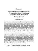 chromosome analysis protocols