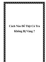 Cách Nào Để Thịt Cá Tra Không Bị Vàng ? doc